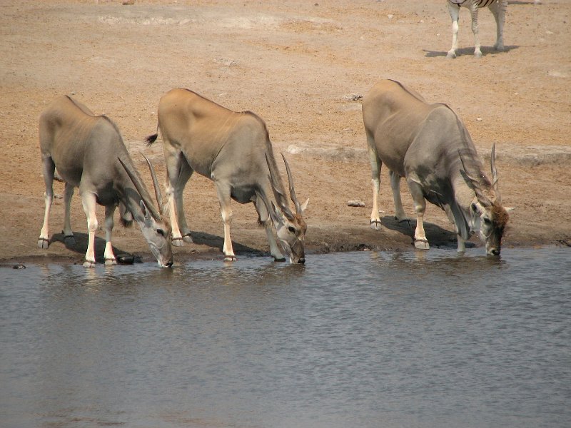 c_2015_08_29 12_25_42_105